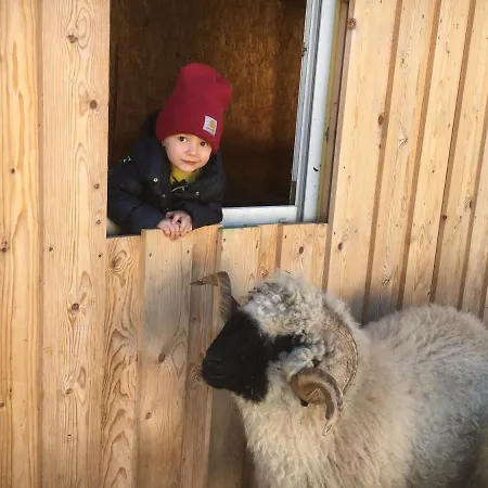 Maison d'hôtes Haus Schuchter Pfunds