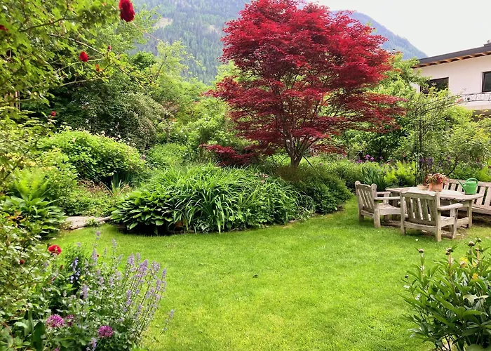 Haus Schuchter 普范德斯