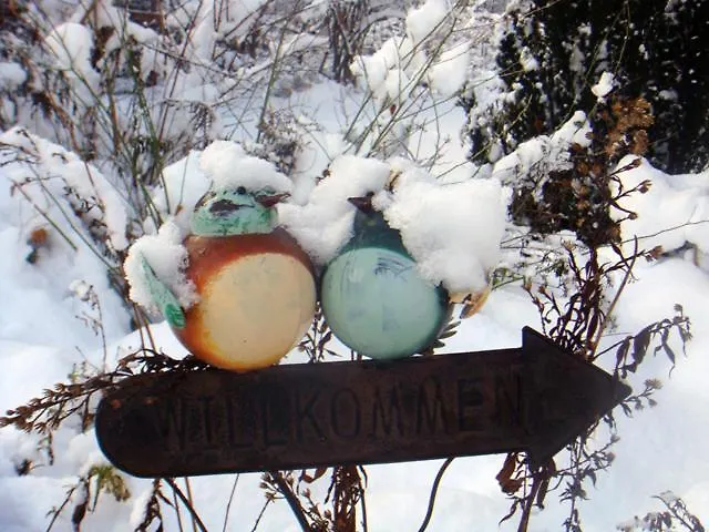 Haus Schuchter 招待所