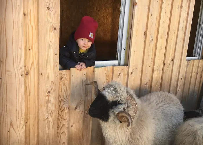 ゲストハウス Haus Schuchter プフンツ